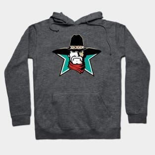 San Antonio Texans Logo Hoodie